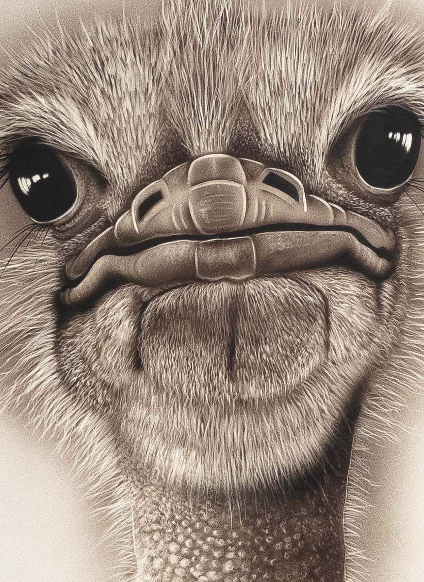 Octavia - Original - SOLD by artist Kim Rose - Wyecliffe Galleries