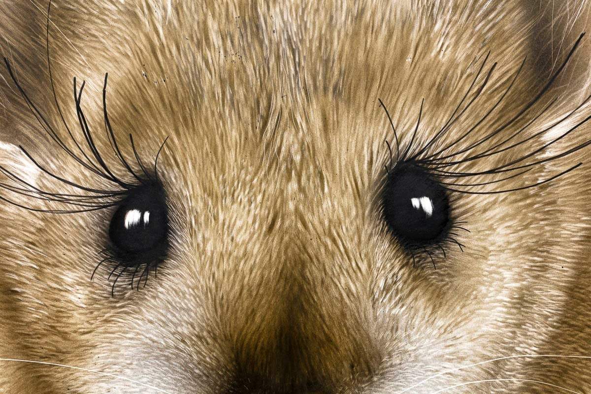 Squeak - Original - SOLD by artist Kim Rose - Wyecliffe Galleries