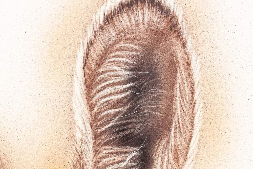 Timmy - Original - SOLD by artist Kim Rose - Wyecliffe Galleries