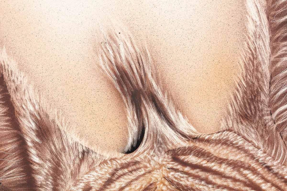 Timmy - Original - SOLD by artist Kim Rose - Wyecliffe Galleries