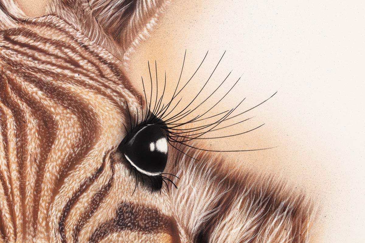 Timmy - Original - SOLD by artist Kim Rose - Wyecliffe Galleries