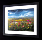 Come Home - Original - SOLD by artist Kimberley Harris - Wyecliffe Galleries