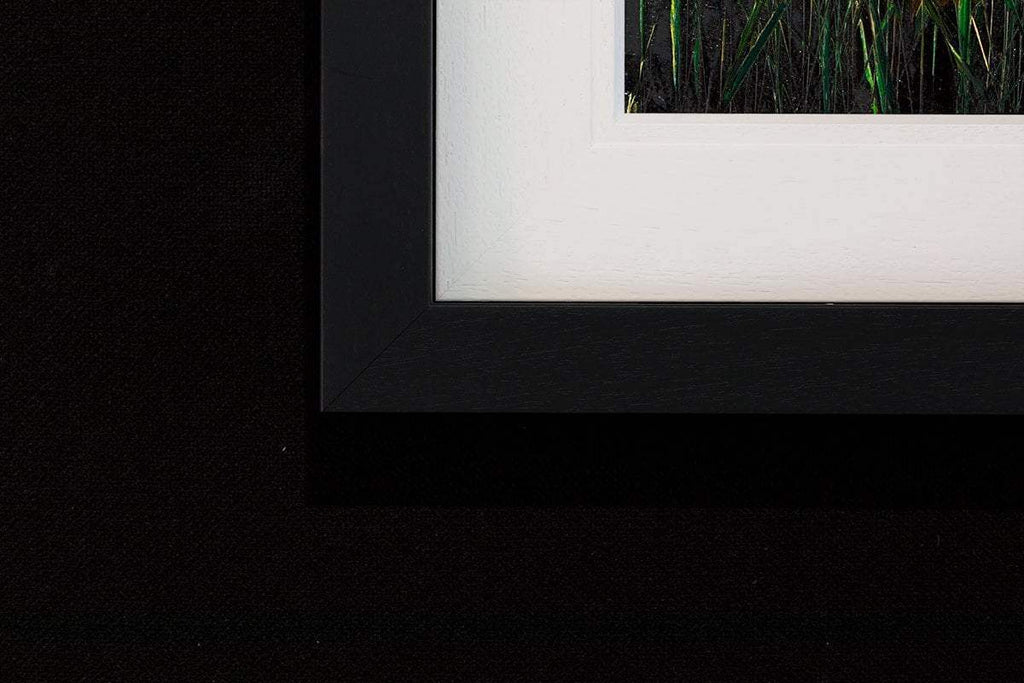 Evening Glow - Original - SOLD by artist Kimberley Harris - Wyecliffe Galleries