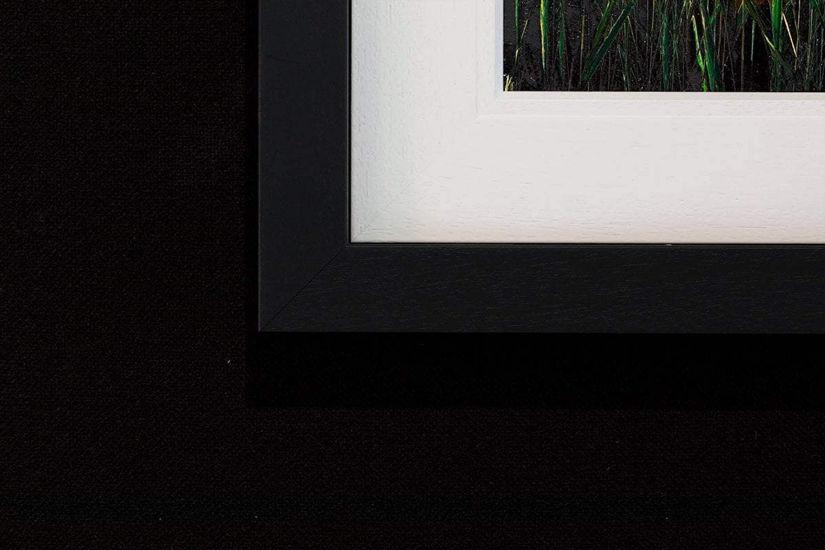 Evening Glow - Original - SOLD by artist Kimberley Harris - Wyecliffe Galleries