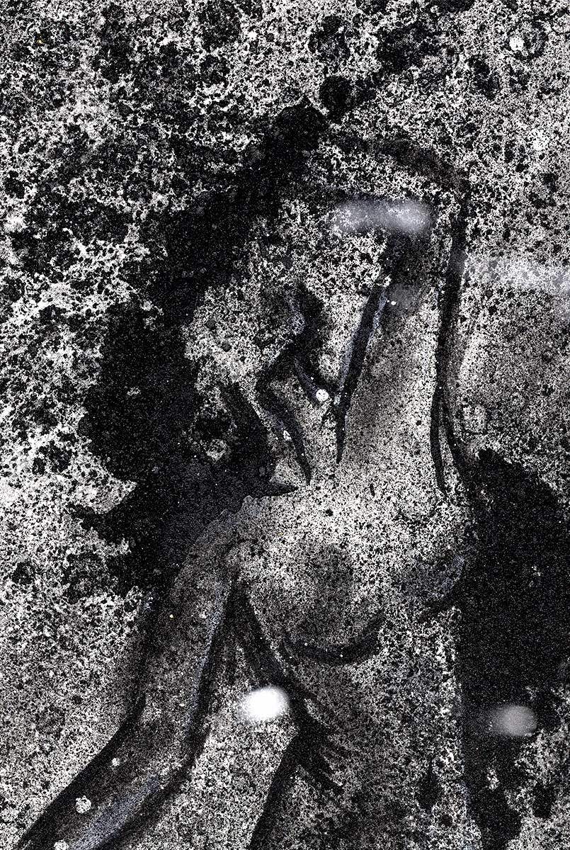 Obsession - Original by artist Laura Beck - Wyecliffe Galleries