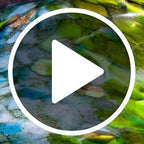 Veil Of Green - Original Sculpture by artist Lea de Wit - Wyecliffe Galleries