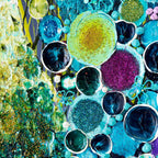 The Love of My Life - Original - SOLD by artist Leanne Christie - Wyecliffe Galleries