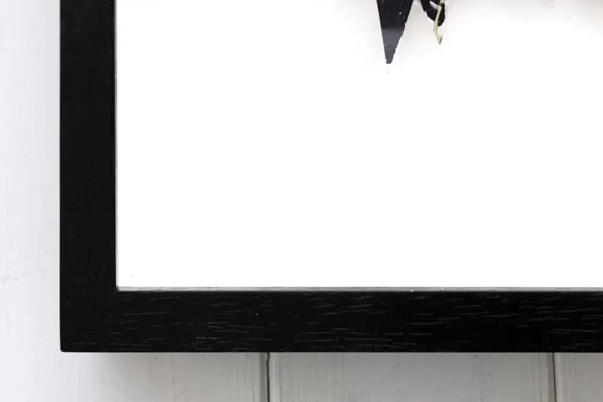 Pachirisu - Original by artist Lhouette - Wyecliffe Galleries