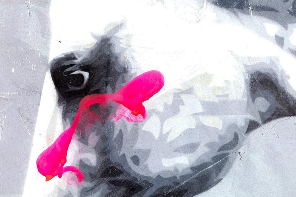 Show Me Something Real - Boutique Edition by artist Lhouette - Wyecliffe Galleries