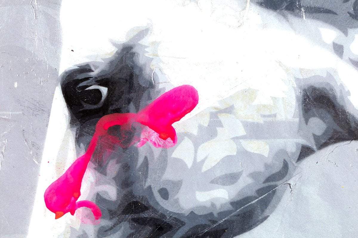 Show Me Something Real - Boutique Edition by artist Lhouette - Wyecliffe Galleries