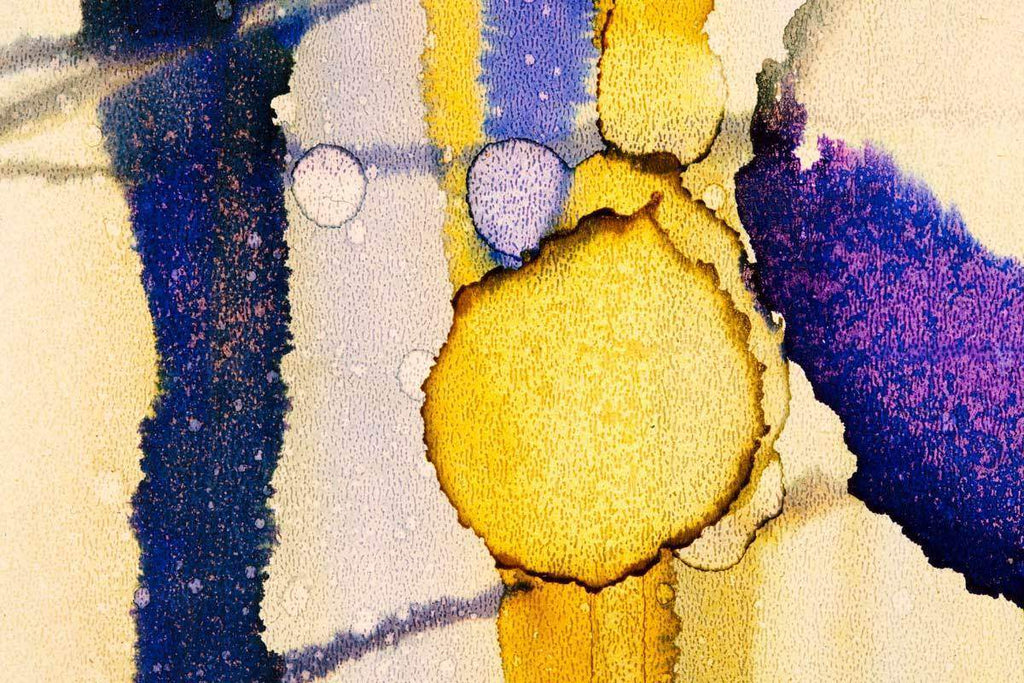 Equivocal - Original by artist Louise Schofield - Wyecliffe Galleries