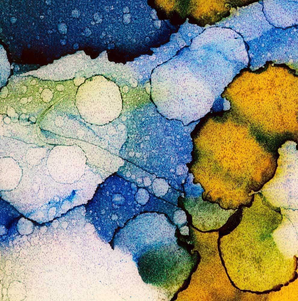 Paradisiacal - Original - SOLD by artist Louise Schofield - Wyecliffe Galleries