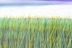 Into The Grassland - Original - SOLD by artist Mary Johnston - Wyecliffe Galleries