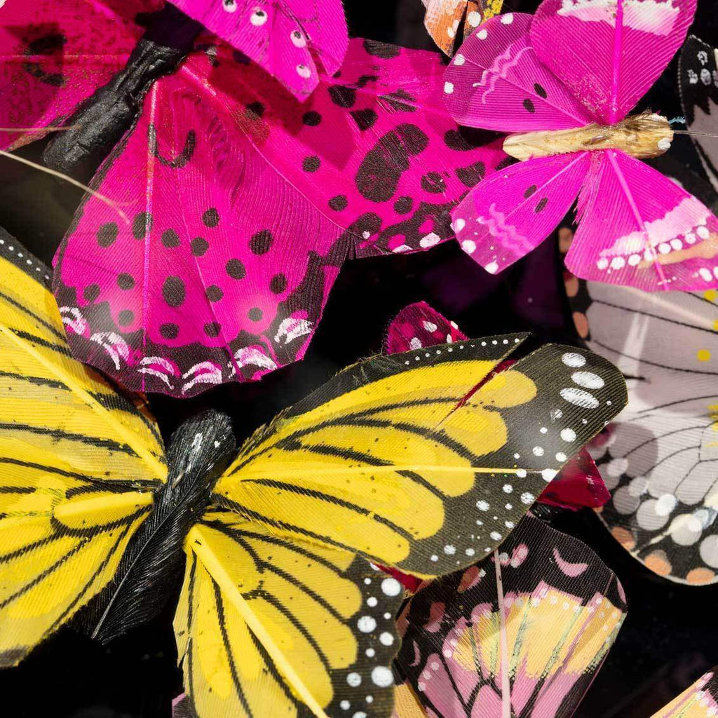 Aglais Lirtical - Original - SOLD by artist Michael Olsen - Wyecliffe Galleries