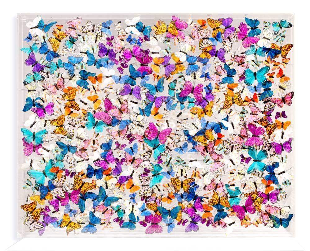 Aphantopus Hyperantus - Original - SOLD by artist Michael Olsen - Wyecliffe Galleries