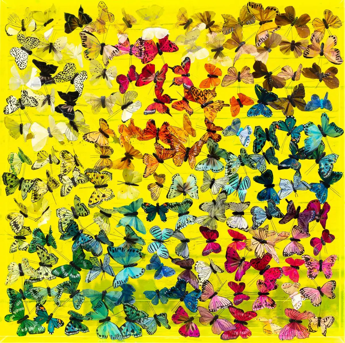 Awaken - Original - SOLD by artist Michael Olsen - Wyecliffe Galleries