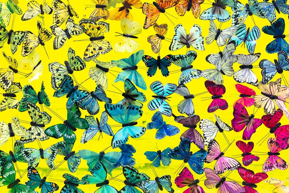 Awaken - Original - SOLD by artist Michael Olsen - Wyecliffe Galleries