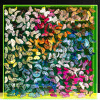 Awaken - Original - SOLD by artist Michael Olsen - Wyecliffe Galleries