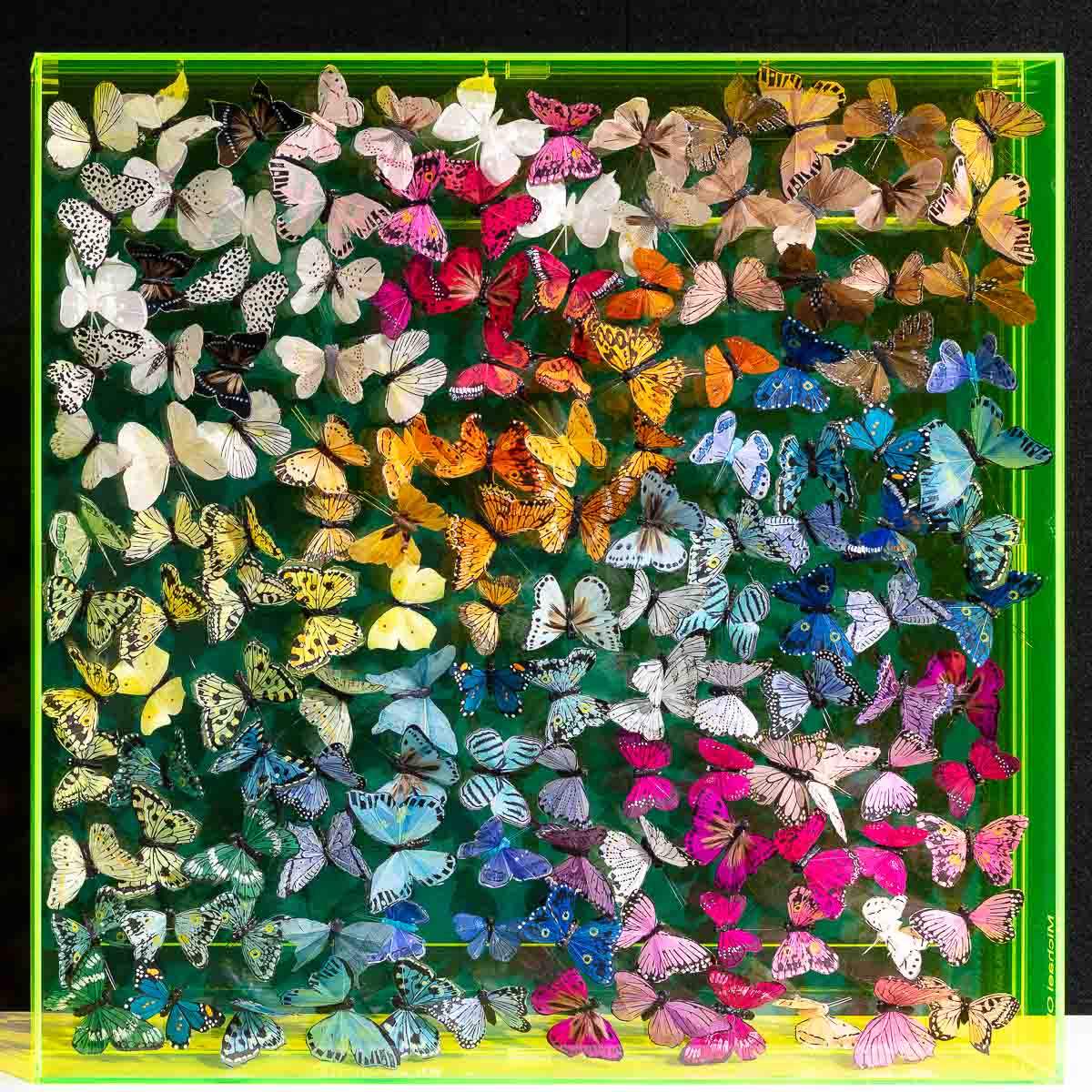 Awaken - Original - SOLD by artist Michael Olsen - Wyecliffe Galleries