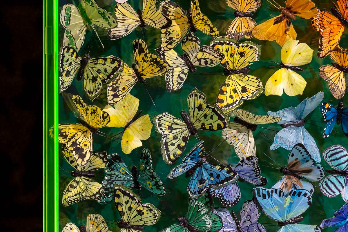 Awaken - Original - SOLD by artist Michael Olsen - Wyecliffe Galleries