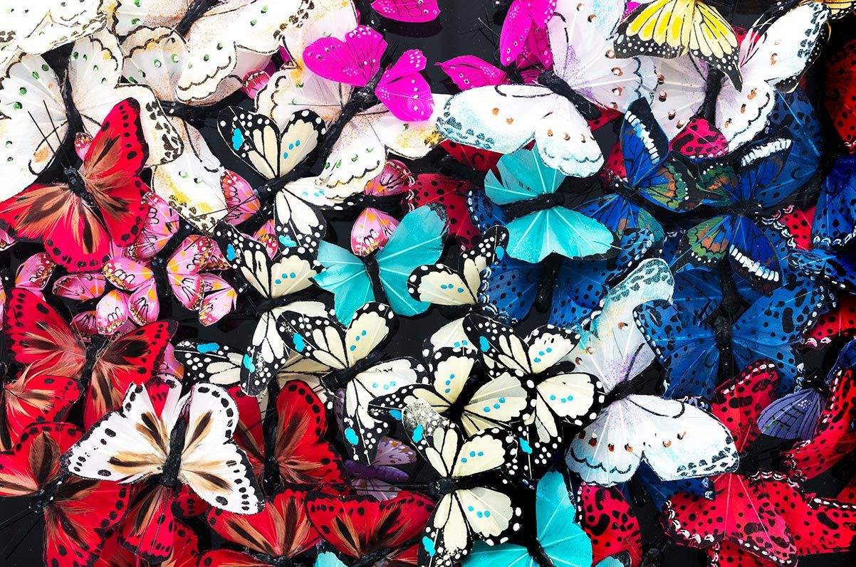 Camberwell Beauty II - Original - SOLD by artist Michael Olsen - Wyecliffe Galleries