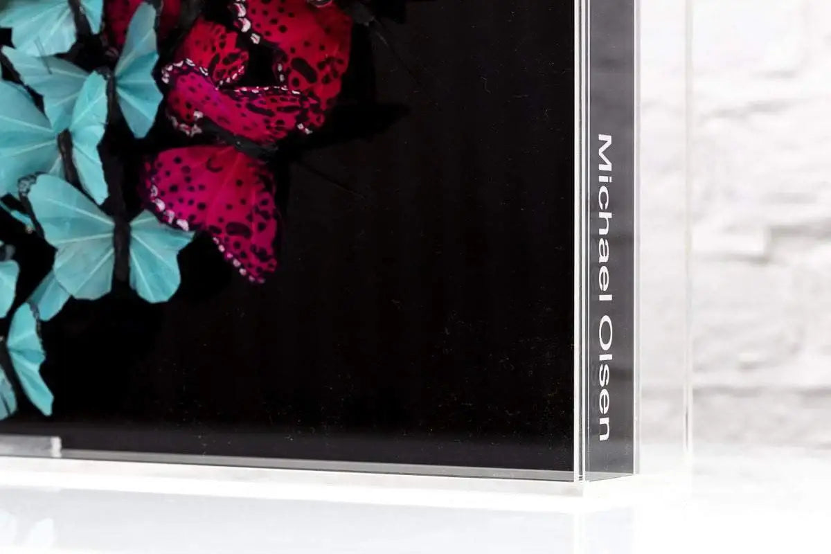 Camberwell Beauty II - Original - SOLD by artist Michael Olsen - Wyecliffe Galleries