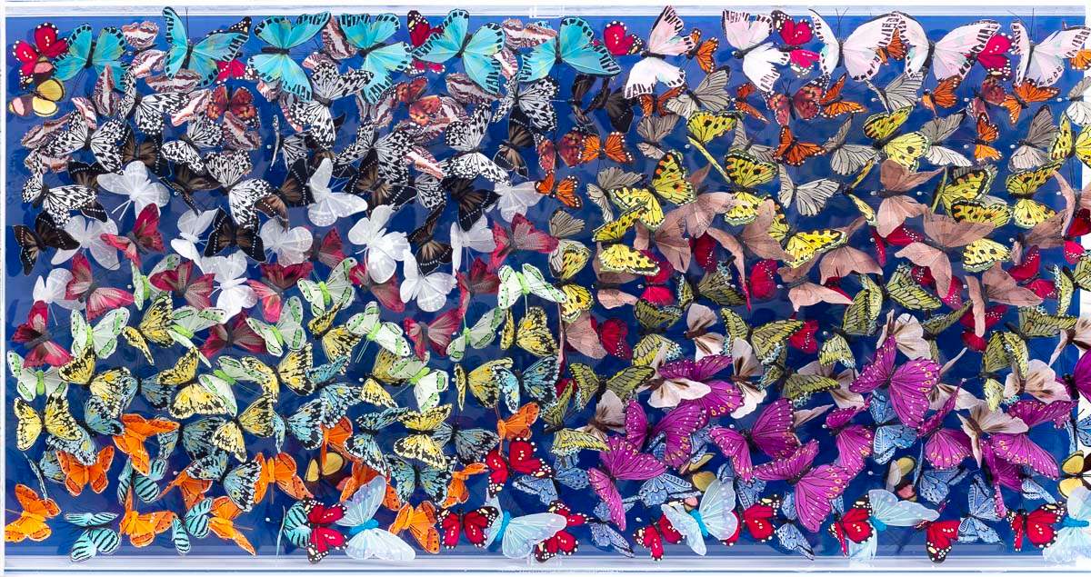 Electric Blue - Original - SOLD by artist Michael Olsen - Wyecliffe Galleries