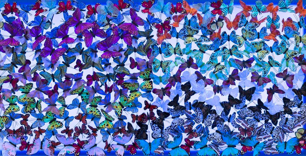 Electric Blue - Original - SOLD by artist Michael Olsen - Wyecliffe Galleries