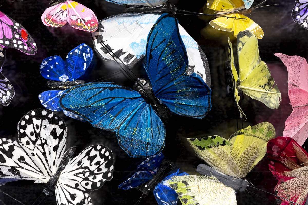 Flutter - Original - SOLD by artist Michael Olsen - Wyecliffe Galleries