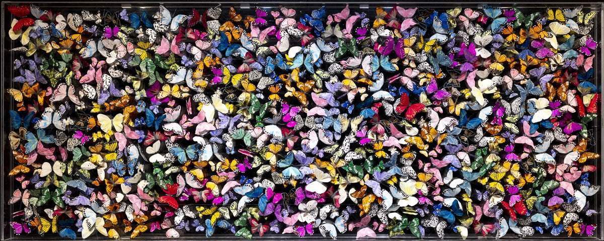 Flutter - Original - SOLD by artist Michael Olsen - Wyecliffe Galleries