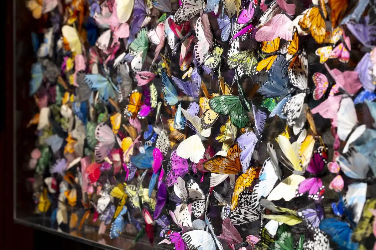 Flutter - Original - SOLD by artist Michael Olsen - Wyecliffe Galleries