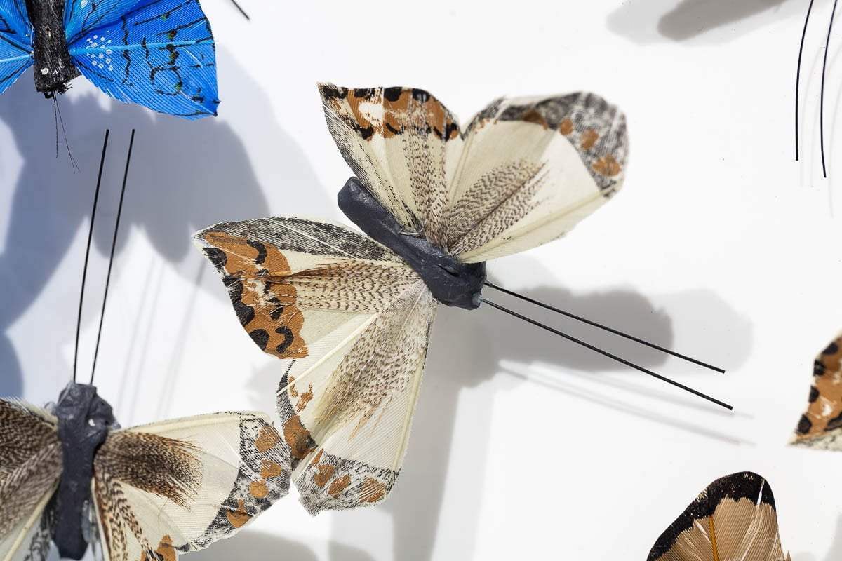 Kamehameha - Original SOLD by artist Michael Olsen - Wyecliffe Galleries