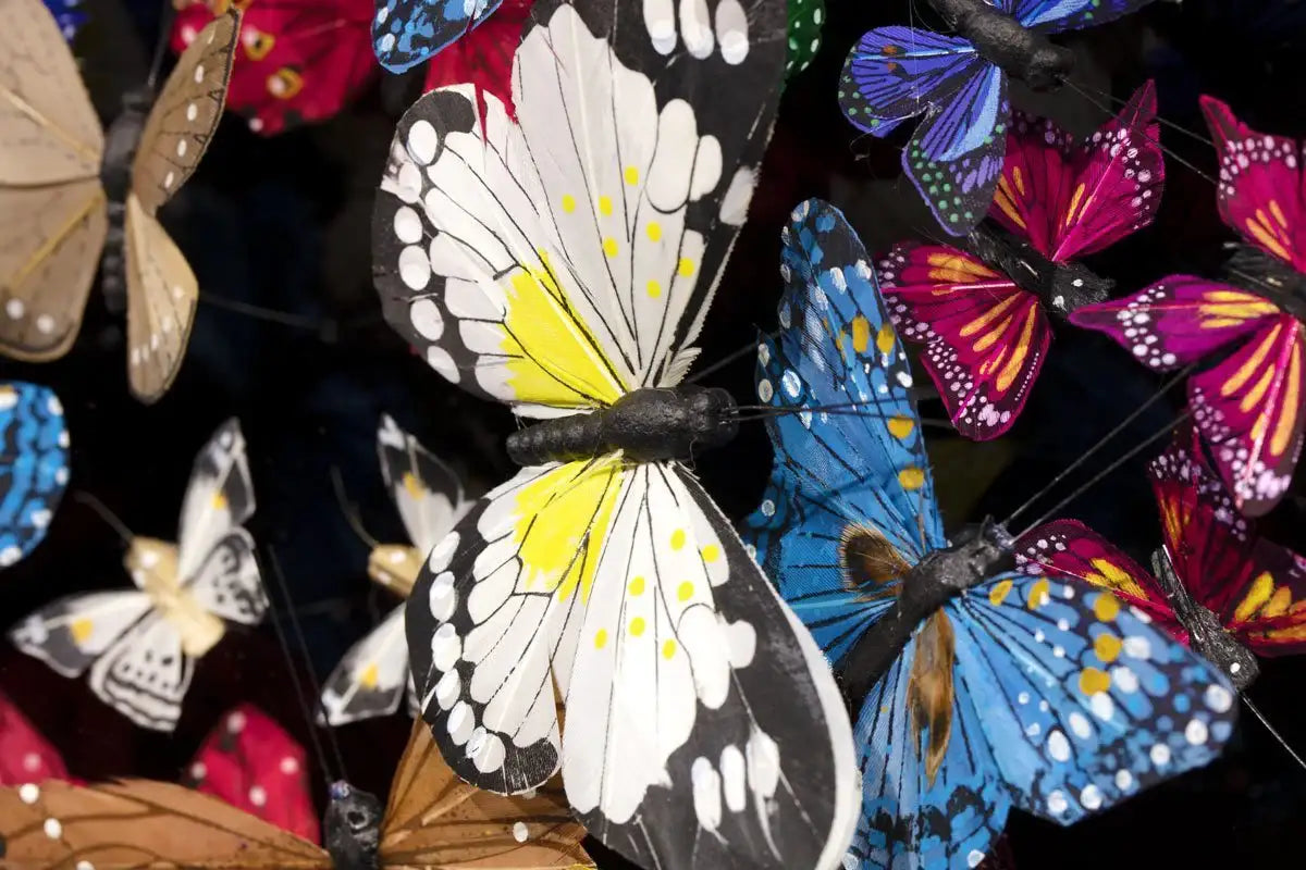 Limenitis Camilla - Original - SOLD by artist Michael Olsen - Wyecliffe Galleries