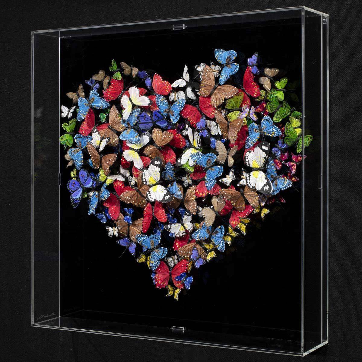 Limenitis Camilla - Original - SOLD by artist Michael Olsen - Wyecliffe Galleries