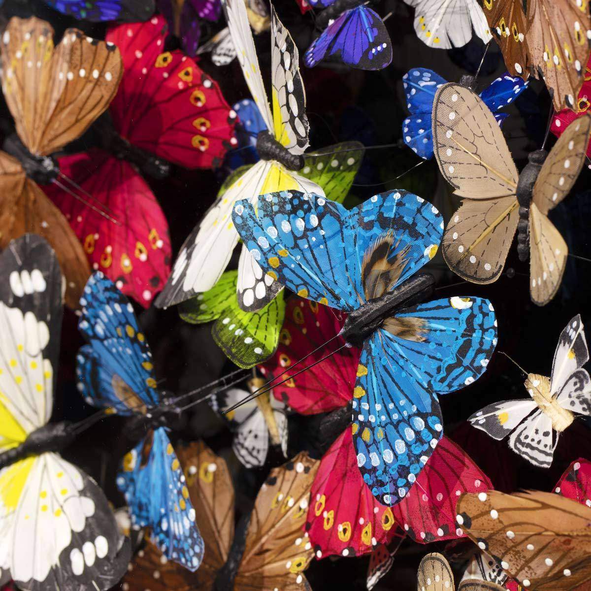 Limenitis Camilla - Original - SOLD by artist Michael Olsen - Wyecliffe Galleries