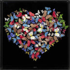 Limenitis Camilla - Original - SOLD by artist Michael Olsen - Wyecliffe Galleries