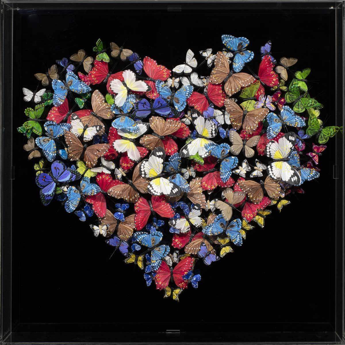 Limenitis Camilla - Original - SOLD by artist Michael Olsen - Wyecliffe Galleries