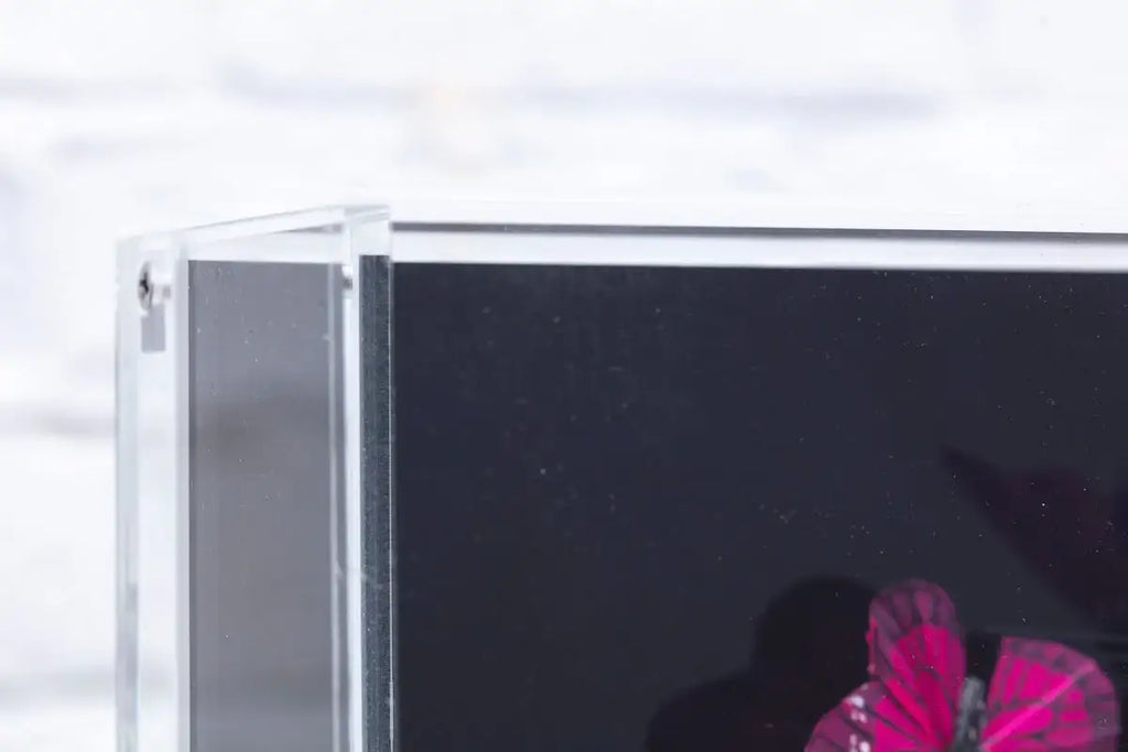 Love at 1st Flight - Original - SOLD by artist Michael Olsen - Wyecliffe Galleries