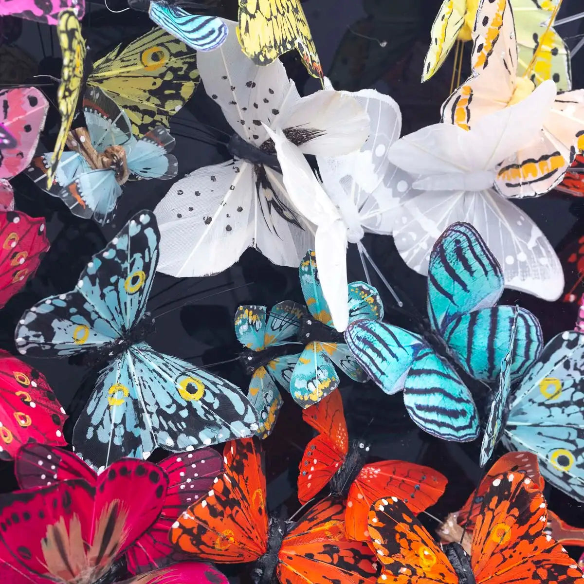 Love at 1st Flight - Original - SOLD by artist Michael Olsen - Wyecliffe Galleries