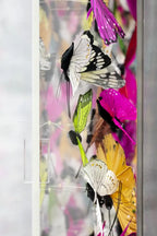 Marsh Fritillary II - Original - SOLD by artist Michael Olsen - Wyecliffe Galleries