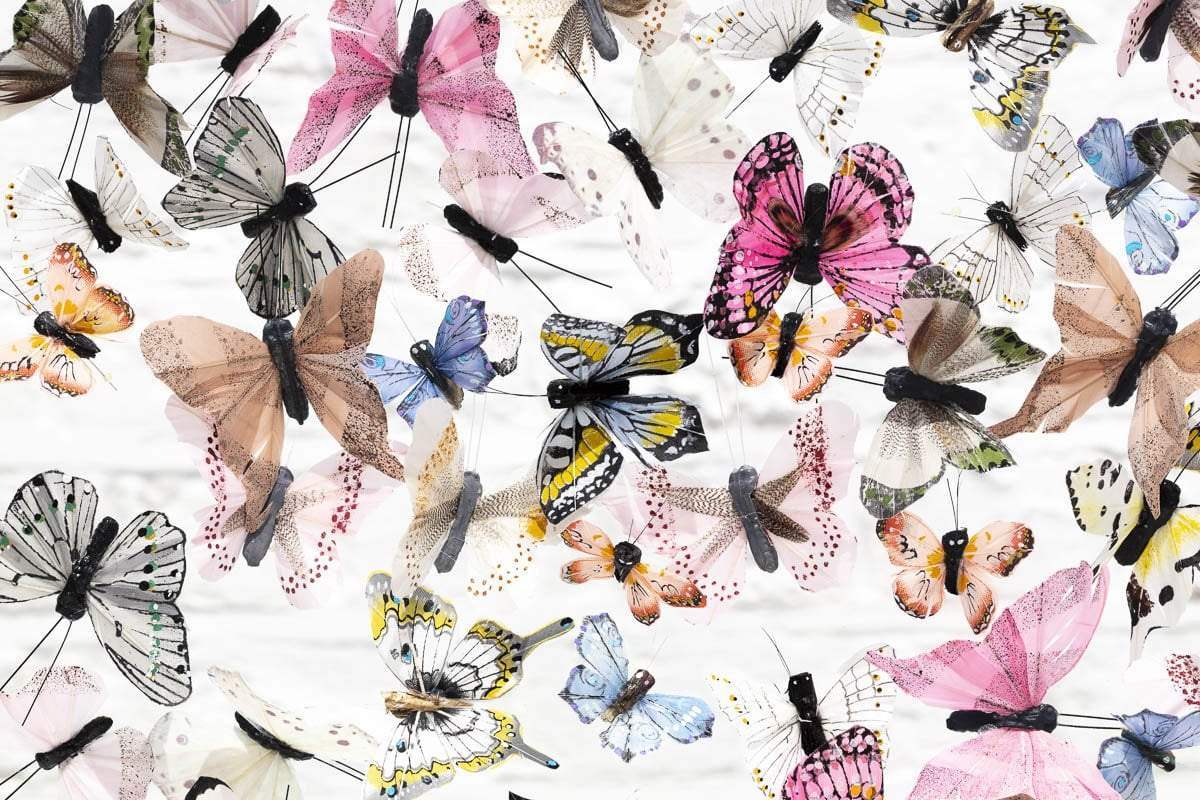 Mazadine & Ive II - Original - SOLD by artist Michael Olsen - Wyecliffe Galleries