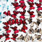 Meander - Original - SOLD by artist Michael Olsen - Wyecliffe Galleries