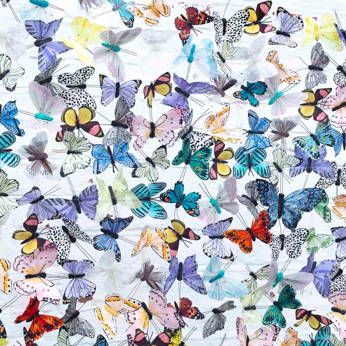 Pastel Riot - Original - SOLD by artist Michael Olsen - Wyecliffe Galleries