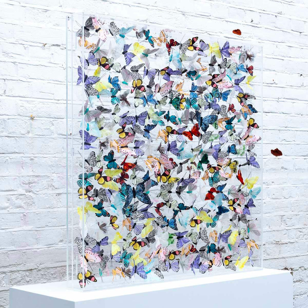 Pastel Riot - Original - SOLD by artist Michael Olsen - Wyecliffe Galleries