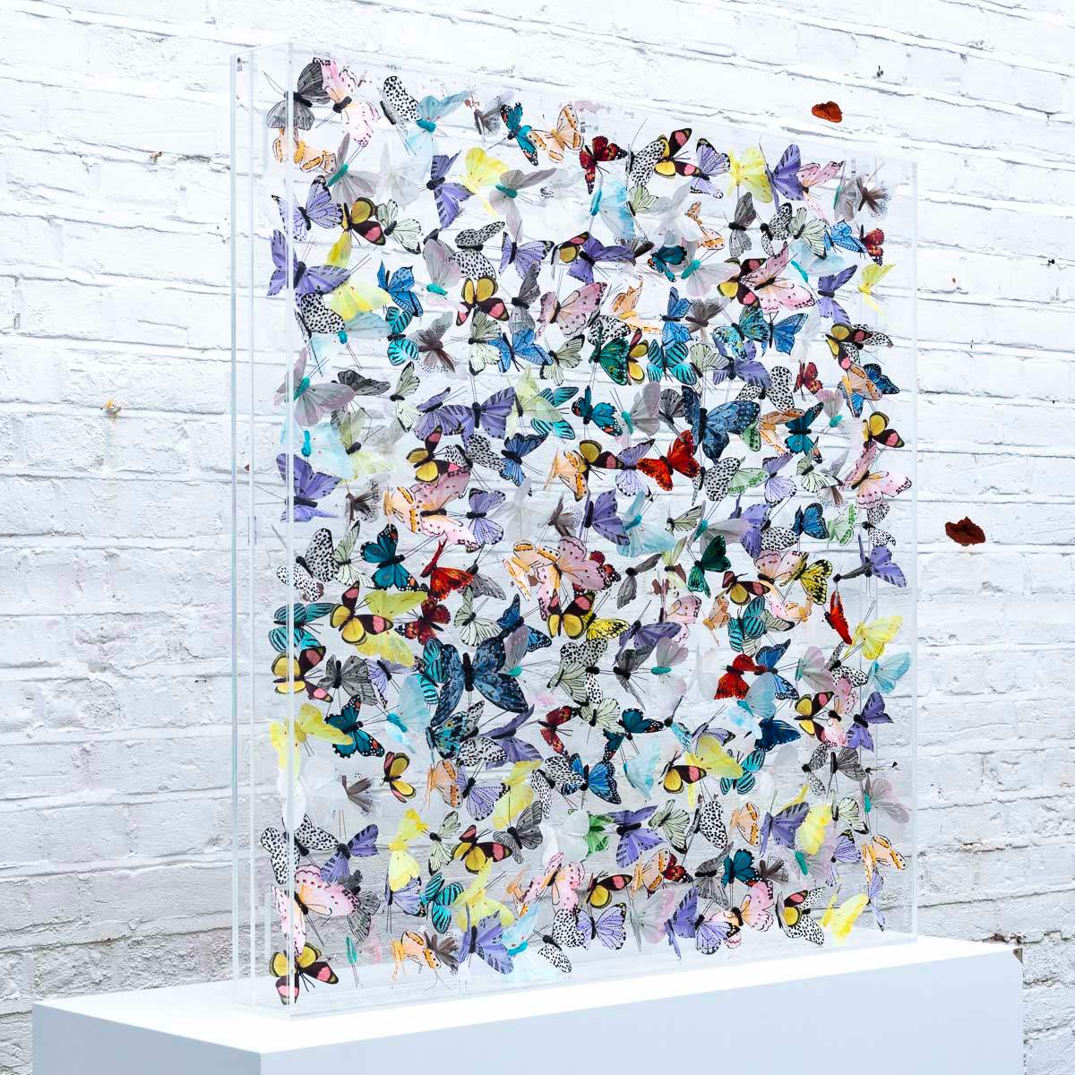 Pastel Riot - Original - SOLD by artist Michael Olsen - Wyecliffe Galleries