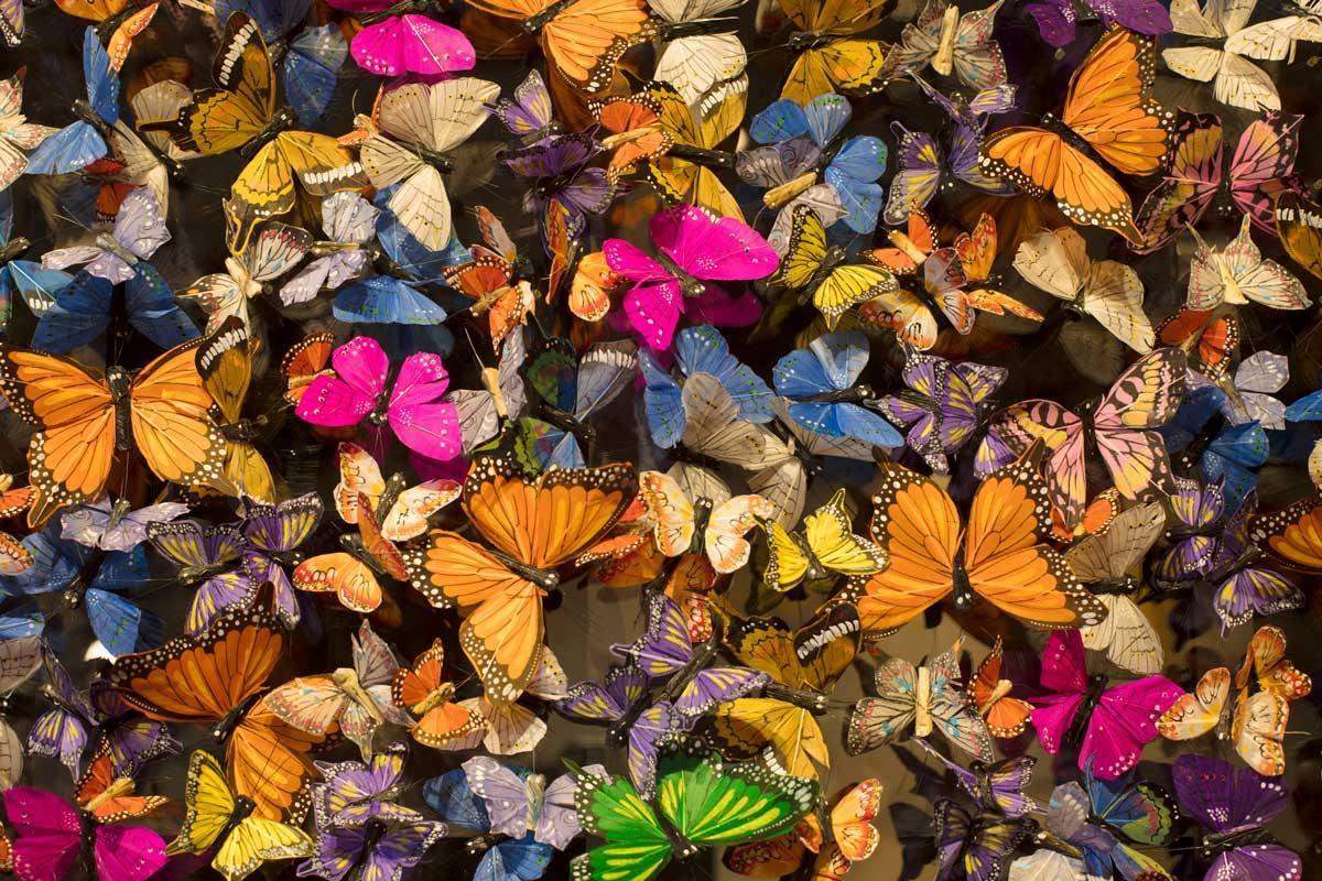 Pieris Brassicae - Original - SOLD by artist Michael Olsen - Wyecliffe Galleries