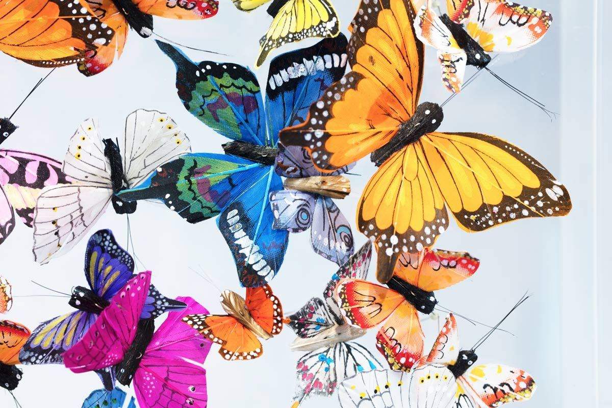 Pieris Brassicae - Original - SOLD by artist Michael Olsen - Wyecliffe Galleries