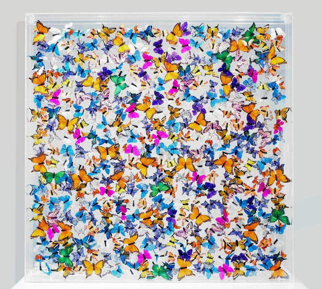 Pieris Brassicae - Original - SOLD by artist Michael Olsen - Wyecliffe Galleries