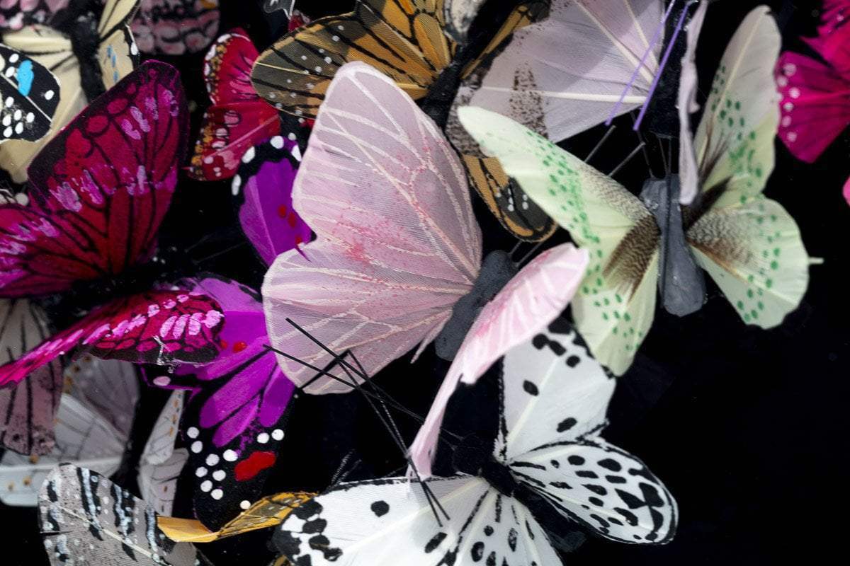 Shiny Blackwing - Original - SOLD by artist Michael Olsen - Wyecliffe Galleries