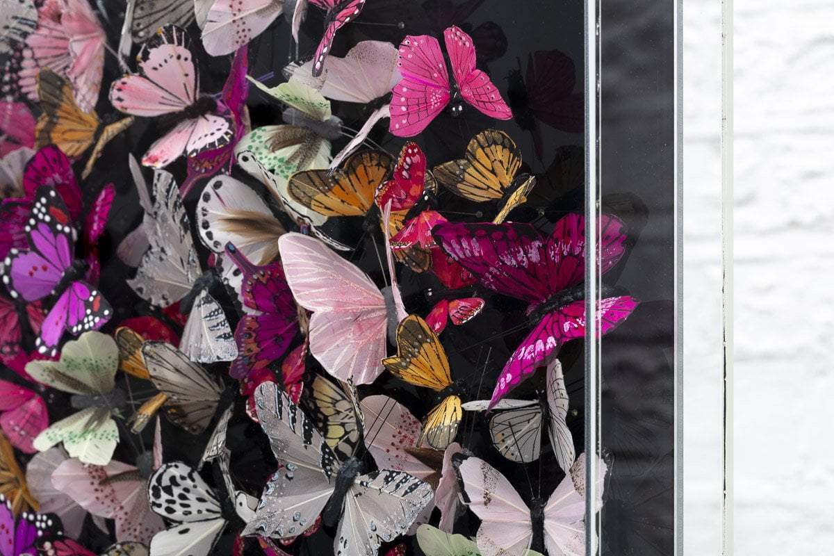 Shiny Blackwing - Original - SOLD by artist Michael Olsen - Wyecliffe Galleries